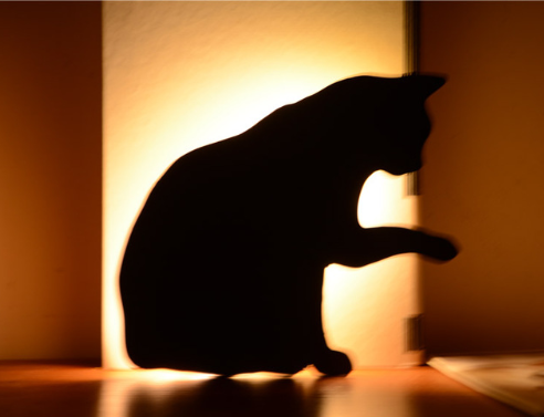 LED Animal Dog Cat Shape Night Light